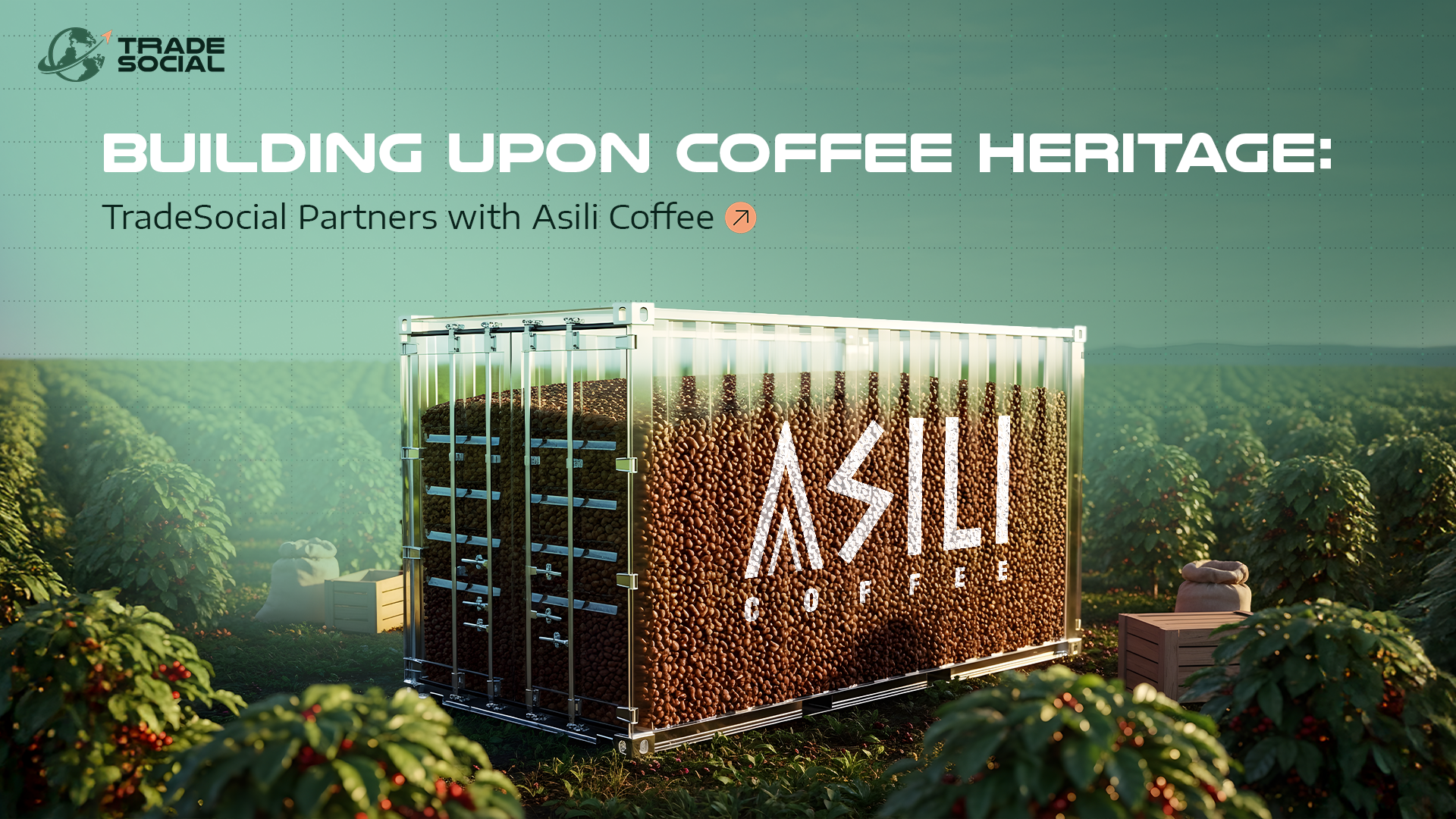 Building Upon Coffee Heritage: TradeSocial Partners with Asili Coffee to Boost Ghana's Coffee Industry 
